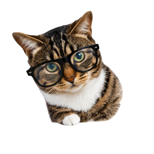 Gato