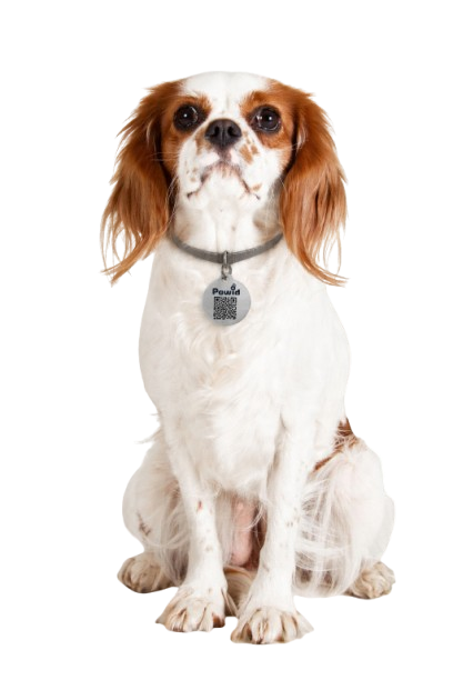 Mascota PawID